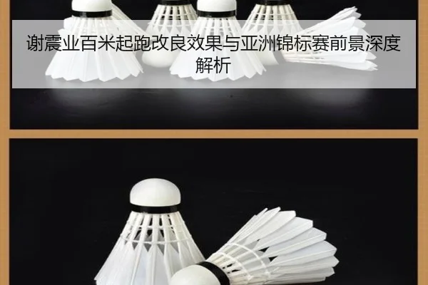 谢震业百米起跑改良效果与亚洲锦标赛前景深度解析 - Kaiyun